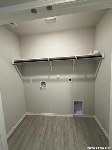 Image 11 of 19 For 10015 Braun  