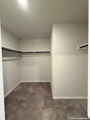 Image 8 of 19 For 10015 Braun  