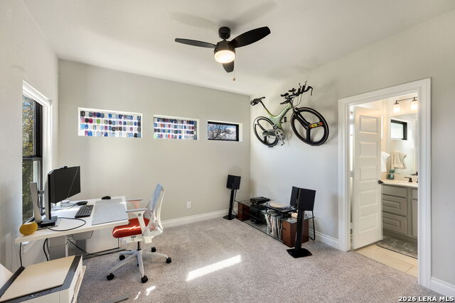 Image 22 of 48 For 1647 Bussola