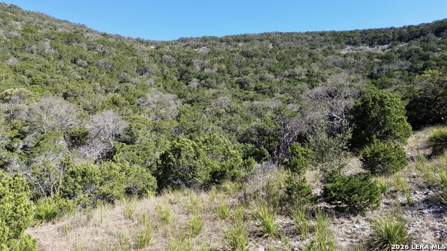 Image 7 of 7 For Tbd Grand View Ranch