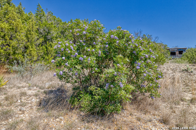 Image 48 of 51 For 190 Fm 2748  