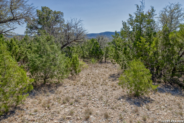 Image 49 of 51 For 190 Fm 2748  