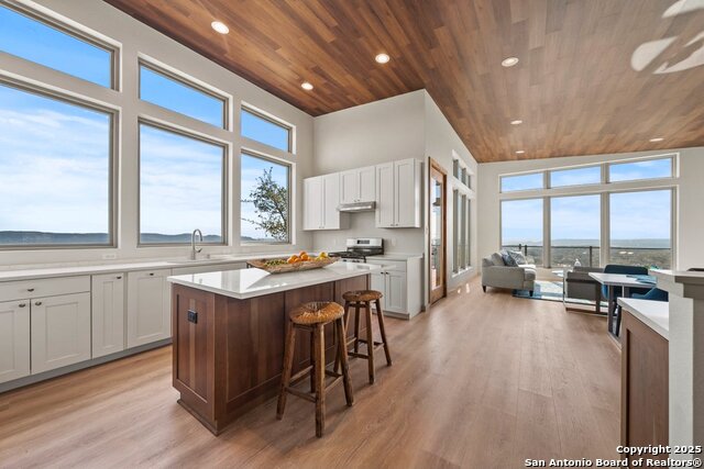 Image 2 of 21 For 301 Vip  