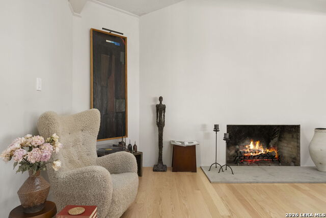 Image 8 of 52 For 25 Bimini  