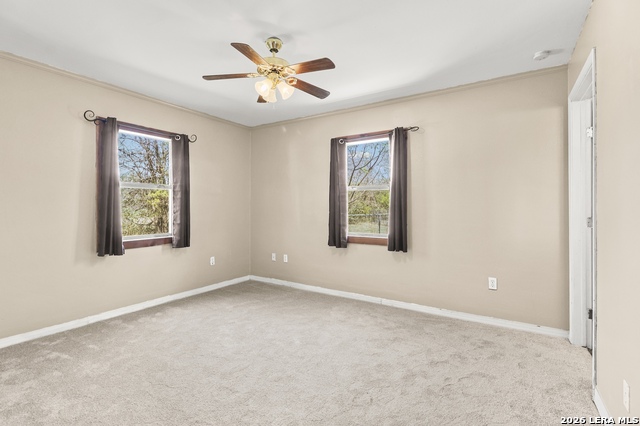 Image 10 of 42 For 146 Exotic  