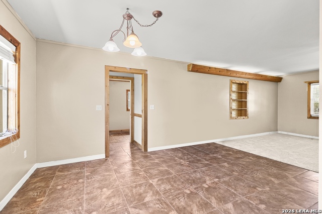 Image 20 of 42 For 146 Exotic  