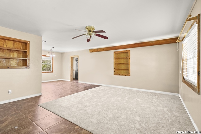 Image 21 of 42 For 146 Exotic  