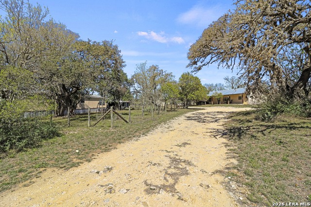 Image 32 of 42 For 146 Exotic  