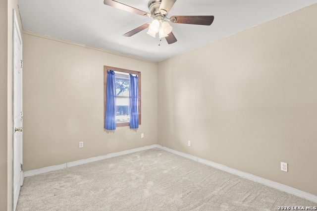 Image 5 of 42 For 146 Exotic  