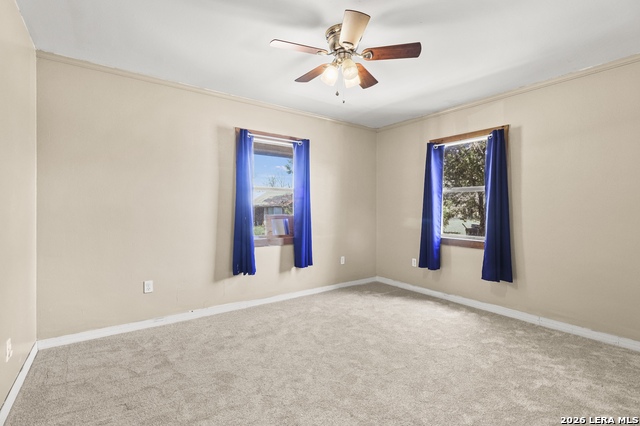 Image 8 of 42 For 146 Exotic  