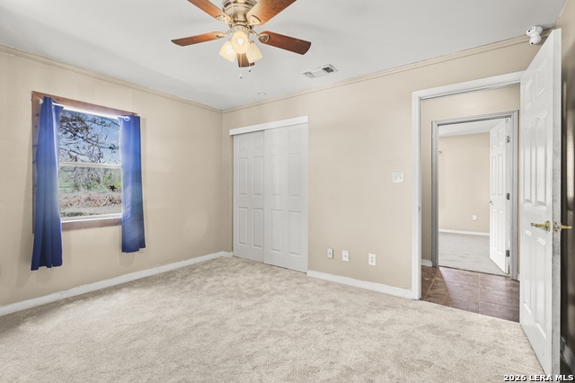 Image 9 of 42 For 146 Exotic  