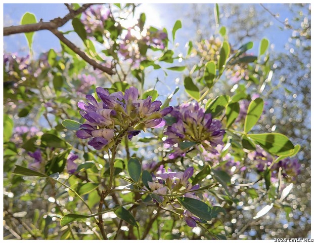 Image 2 of 39 For 10219 Rafter O