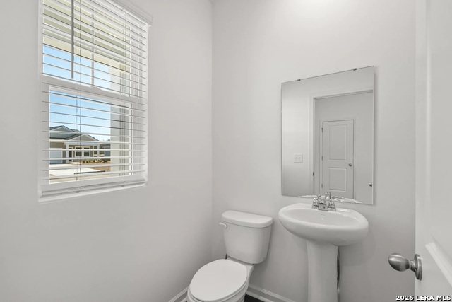 Image 8 of 12 For 4611 Flying Hooves