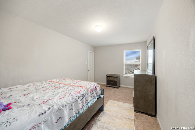 Image 23 of 28 For 11815 Wolf Cyn