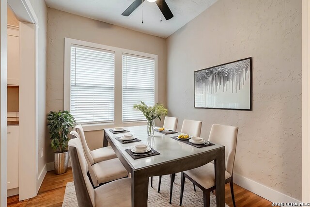 Image 23 of 32 For 316 Cypress St W