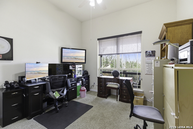 Image 15 of 35 For 28709 Coral Bark