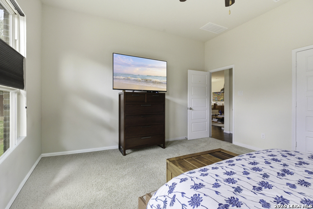 Image 19 of 35 For 28709 Coral Bark