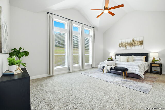 Image 34 of 76 For 25114 Buffalo Clover