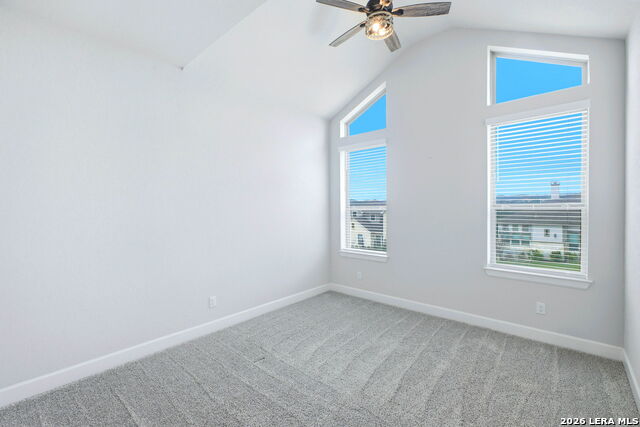 Image 50 of 76 For 25114 Buffalo Clover