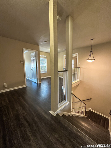 Image 16 of 28 For 11023 Mustang Spring