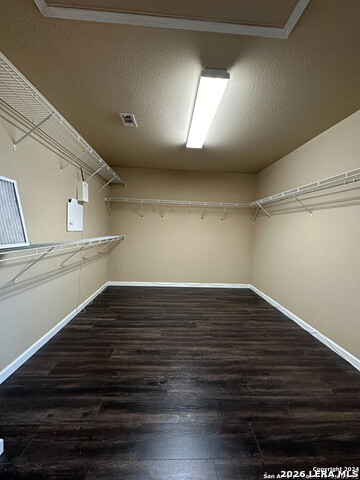 Image 22 of 28 For 11023 Mustang Spring