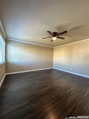 Image 25 of 28 For 11023 Mustang Spring