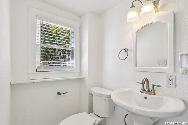 Image 45 of 46 For 1080 Ivy  