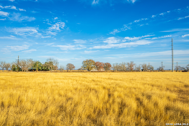 Listing photo id 19 for 3830 County Road 541
