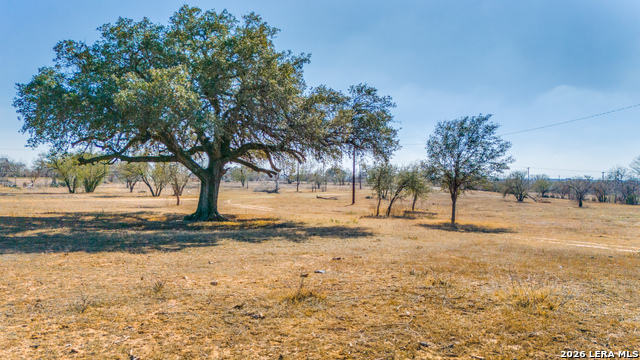 Image 6 of 13 For 2565 Wright Carpenter