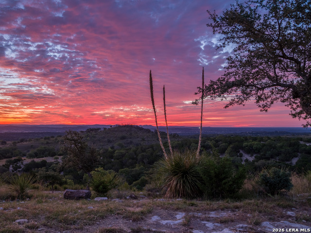 Image 2 of 31 For 217 Saddle Wood