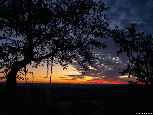Image 4 of 31 For 217 Saddle Wood