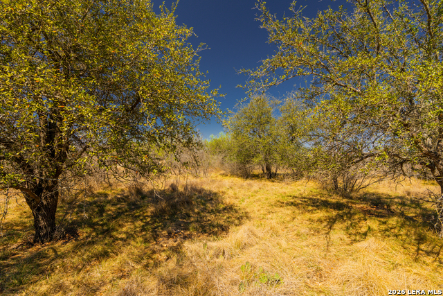 Image 31 of 34 For 726 Tierra Linda