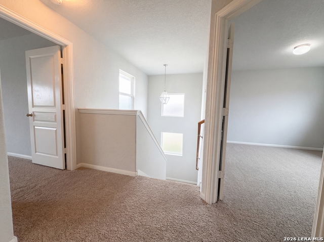 Image 8 of 43 For 3522 Palmetto Pass