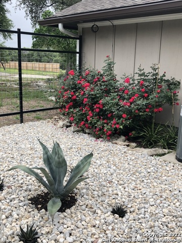 Image 20 of 25 For 2046 Mulberry