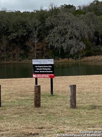 Image 21 of 25 For 2046 Mulberry