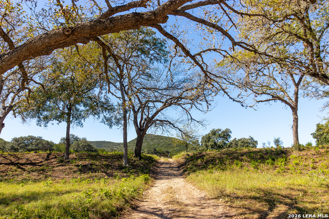 Image 15 of 77 For 000 Rm 336  