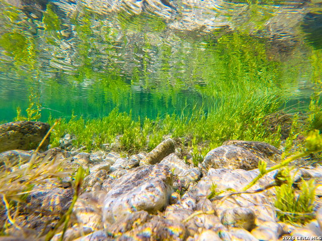 Image 18 of 77 For 000 Rm 336  