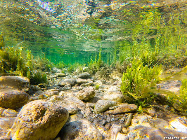 Image 2 of 77 For 000 Rm 336  