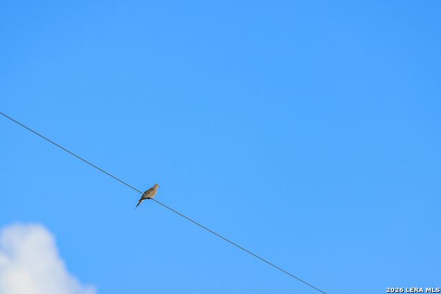 Image 20 of 77 For 000 Rm 336  