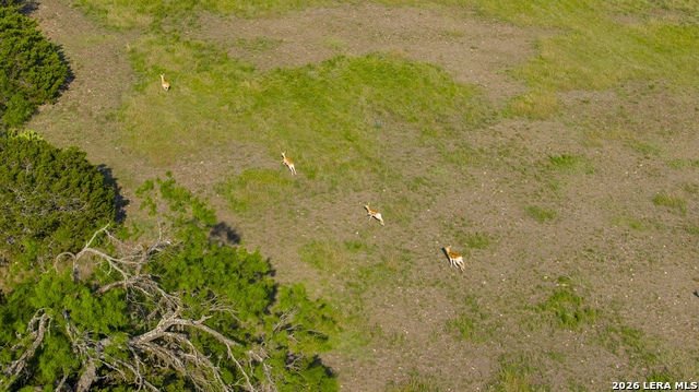 Image 23 of 77 For 000 Rm 336  