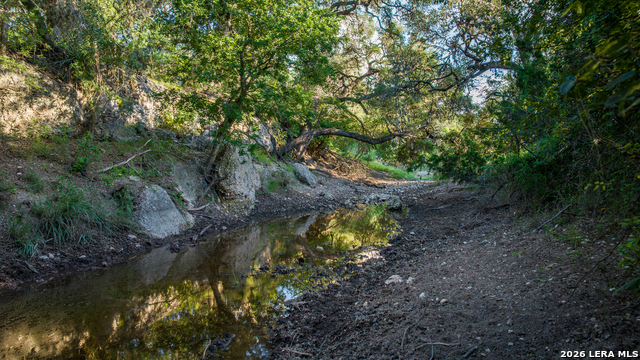 Image 25 of 77 For 000 Rm 336  