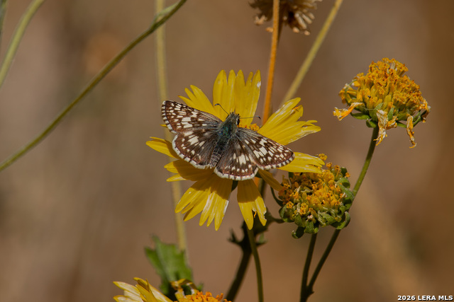 Image 28 of 77 For 000 Rm 336  