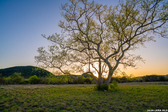 Image 36 of 77 For 000 Rm 336  