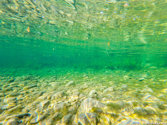 Image 42 of 77 For 000 Rm 336  