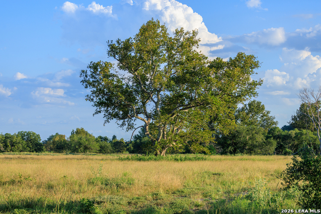 Image 48 of 77 For 000 Rm 336  