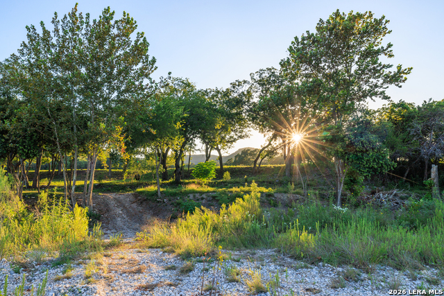 Image 52 of 77 For 000 Rm 336  