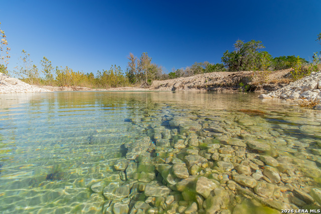 Image 6 of 77 For 000 Rm 336  