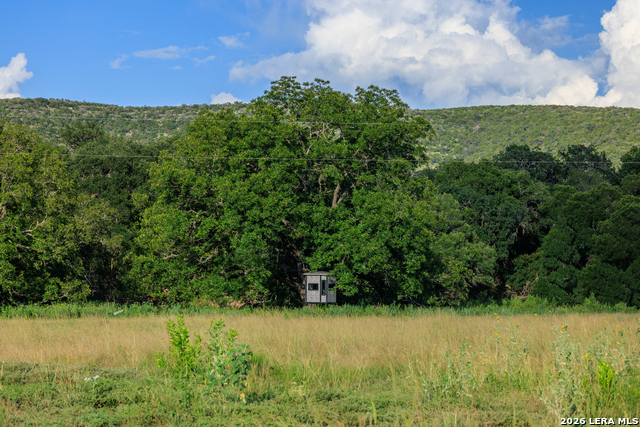 Image 73 of 77 For 000 Rm 336  