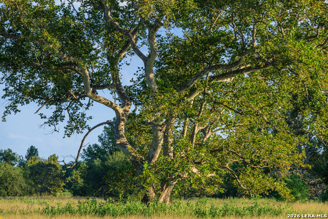 Image 74 of 77 For 000 Rm 336  