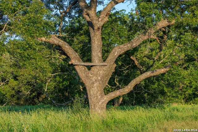 Image 75 of 77 For 000 Rm 336  